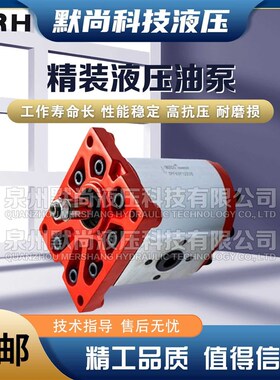 上海国瑞GRH齿轮泵Group3液压泵3APF22/26/34/39/43/5X1F10 油泵