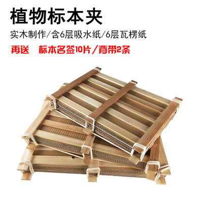 植物标本夹 全套带吸水纸瓦楞纸木条式树叶夹 50x40/45x35/40x30cm 学生制作植物标本收集 生物科学教学仪器