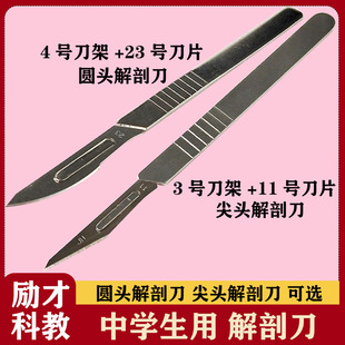 解剖刀 单面刀片 初中生物用实验器材教学仪器 圆头解剖刀4号刀架+23号刀片 尖头解剖刀3号刀架+11号刀片