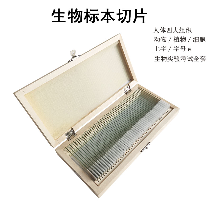 植物动物玻片藻类霉菌根尖纵切人血精巢草履虫迎春叶生物切片教学仪器 实验室显微镜观察初中部分生物切片