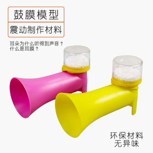 人体耳朵鼓膜耳膜原理制作材料模型小学科学实验演示教具学具声音由引起鼓膜震动声波传播形式听声音