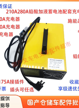 施能原厂智能充电器24V48V电动叉车24V30A全自动带数显充电机配件