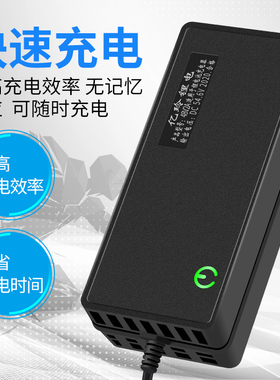 24V锂电池充电器2A三元磷酸铁锂6串7串5A10A聚合物3A8串29.4V