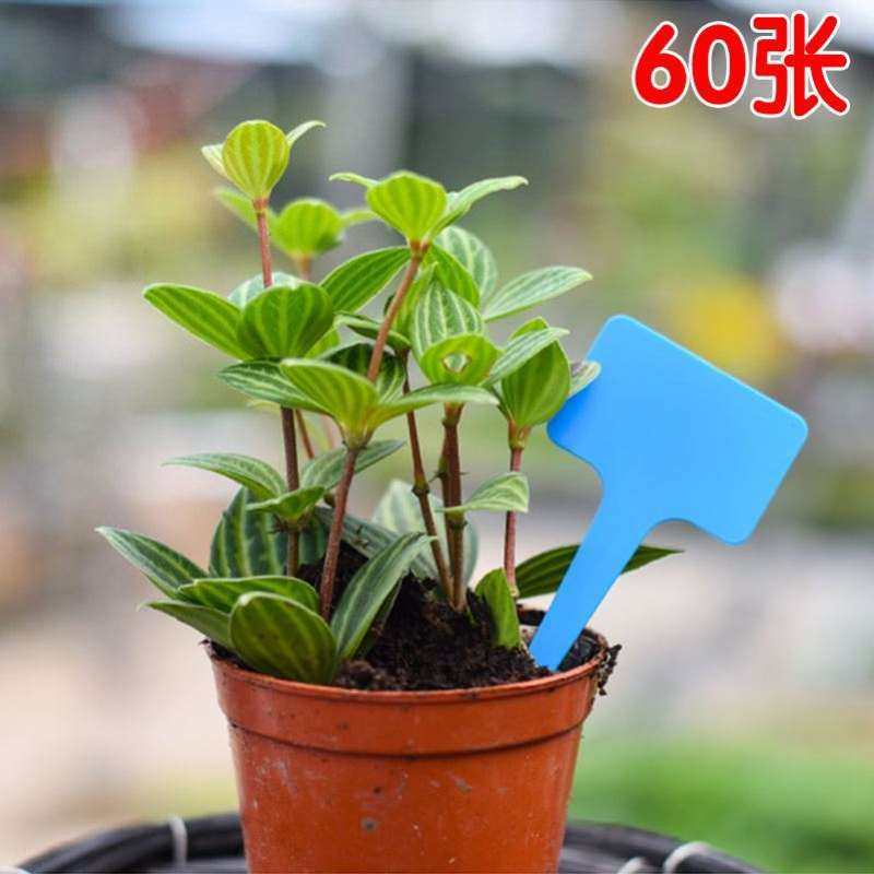 花苗中性笔大田标识牌可写字黑板指示盆栽盆景塑料标签牌插月季