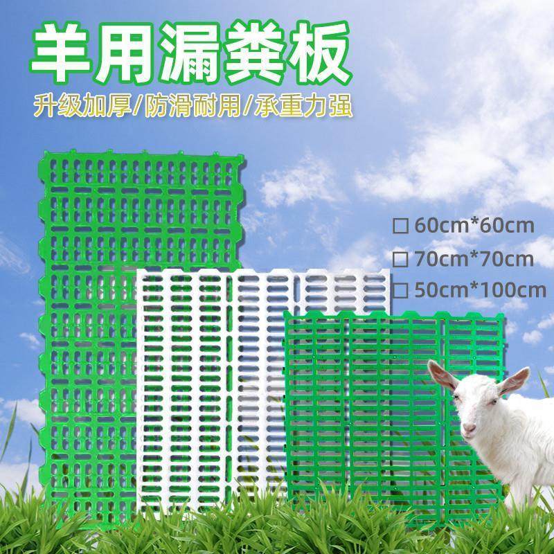 养羊用的漏粪板羊床羊圈塑料羊圈羊粪漏粪网猪用羊舍养猪保育猪