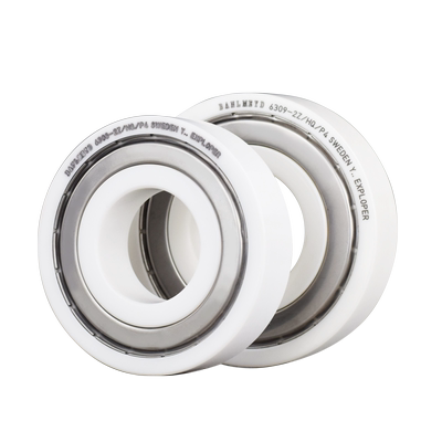 瑞典正品进口BMD全陶瓷轴承