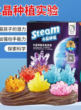 科学区手工制作DIY自种水晶生长幼儿园实验室角投放材料探索教具