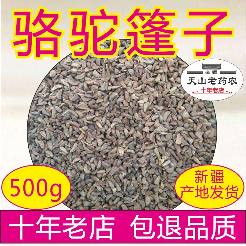 骆驼蓬子中药材500克新疆产地直发包邮正品骆驼篷子篷籽臭古朵 - 实物图