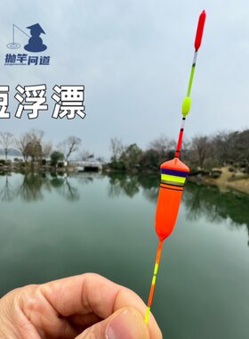 抛竿问道溪流小物浅水漂主线组全套小鱼白条麦穗鱼短脚粗尾小浮标