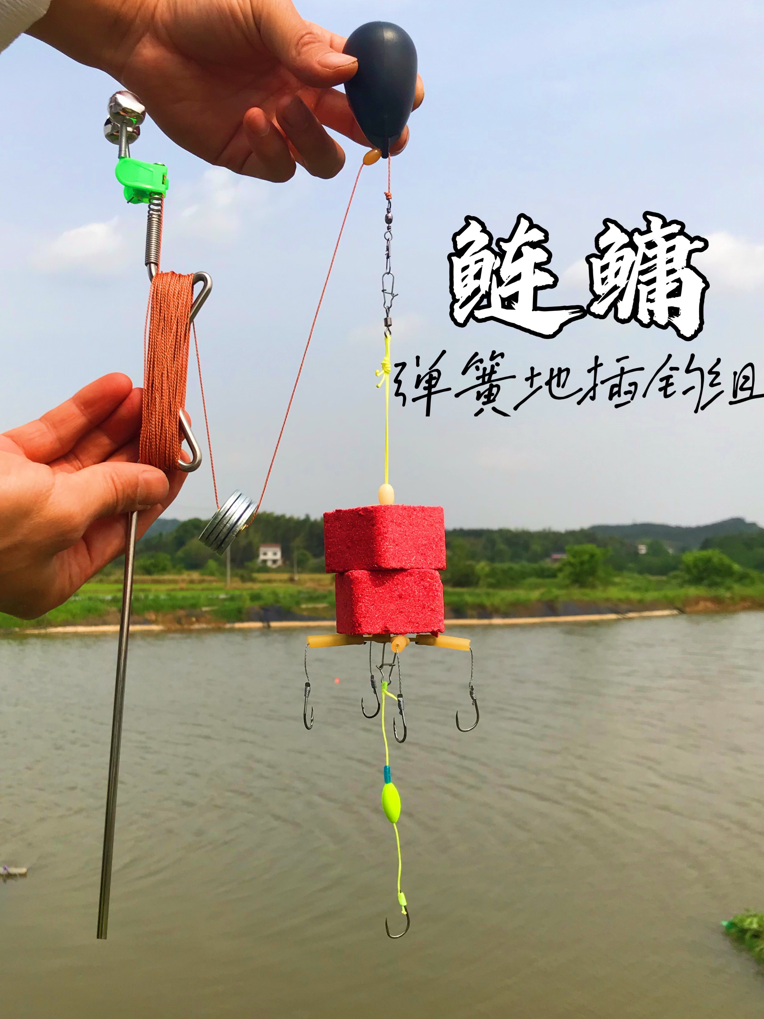 湖库地插弹簧钓组白鲢