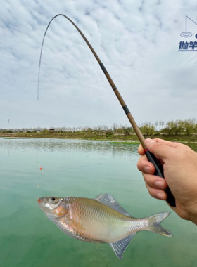 抛竿问道小物竿超短小鱼竿虾竿便携套装鳑鲏鲫鱼软调溪流钓小物钓