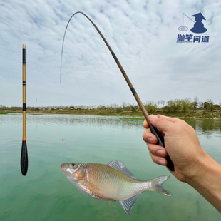 抛竿问道小物竿超短小鱼竿虾竿便携套装鳑鲏鲫鱼软调溪流钓小物钓