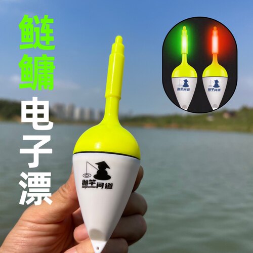 抛竿问道鲢鳙电子漂夜光浮漂常亮双色海竿夜钓花白鲢鱼钓组套装