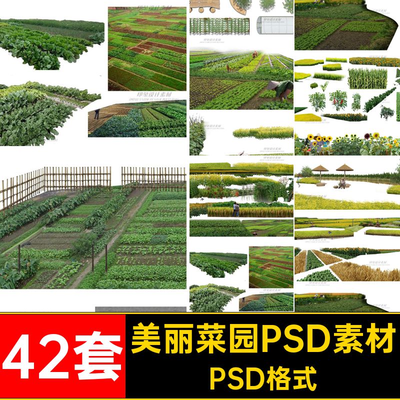 42套农村菜园PSD素材后期抠免分层ps庭院乡村蔬菜菜地效果图植物