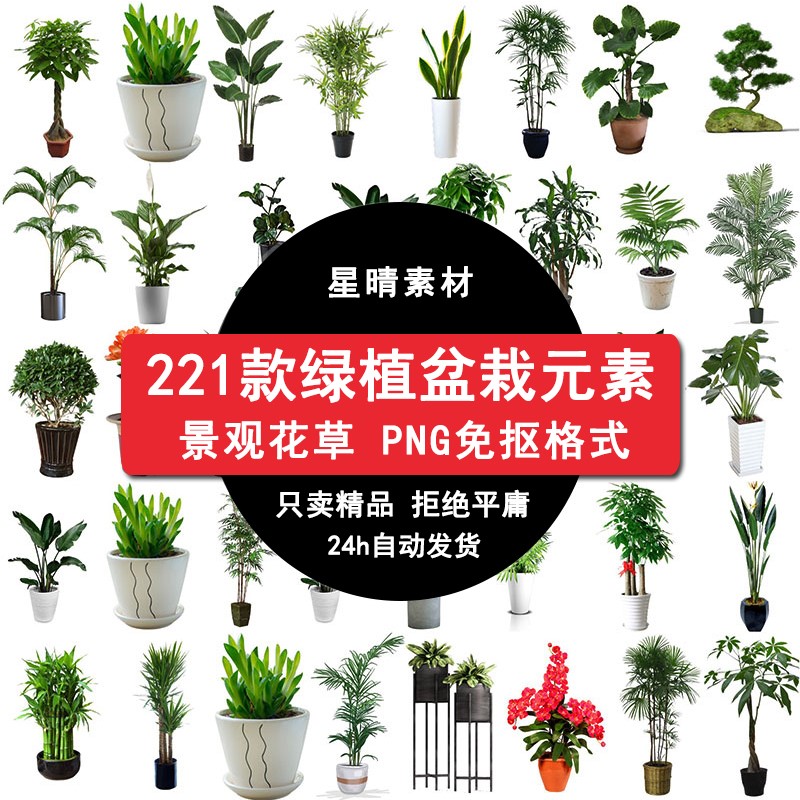 园林景观绿植花草盆栽盆景植物PNG免抠元素图片背景PS设计素材图