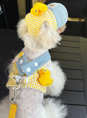 衣服狗狗牵引绳小型犬宠物胸背带马尔济斯比熊约克夏遛狗绳子夏季
