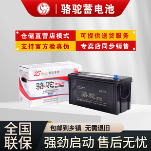 骆驼蓄电池12v100ah汽车免维护6 120电瓶驻车空调农机客货车 QWLZ