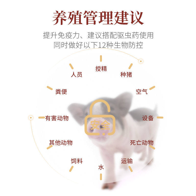 非洲猪瘟药猪用圆环蓝耳兽用非瘟净抗病毒增强免疫饲料添加剂