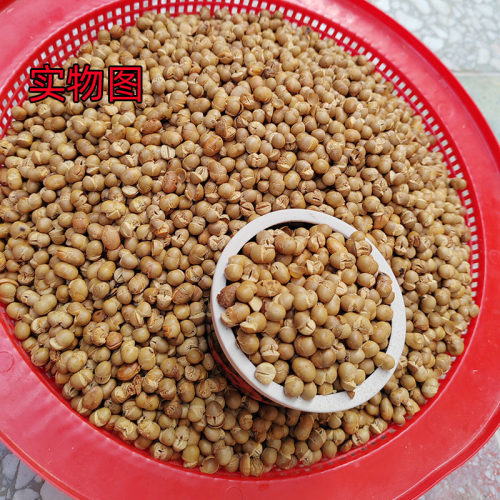 河南商丘爆黄豆炸黄豆可以做西瓜酱辣椒酱