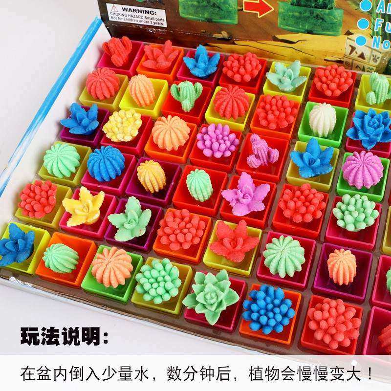 48入彩色仿真膨胀盆栽植物泡大仙人掌仙人球儿童泡水膨胀模仿生态