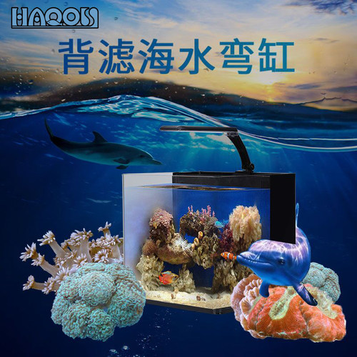 小丑鱼海水缸价格 小丑鱼海水缸图片 星期三