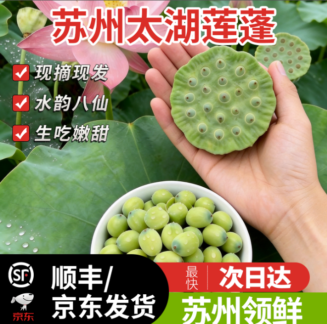 苏州太湖农耕新鲜莲蓬当季手剥嫩莲子现摘现发顺丰包邮孕妇水果