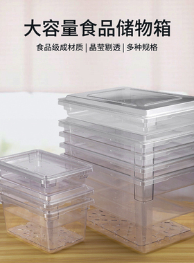 PC透明收纳箱 食物储物箱带沥水板整理箱 加厚食品储存箱保鲜盒子