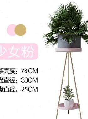 北欧轻奢金色铁艺花架家居客厅花盆吊篮架家用店铺落地置物架摆件