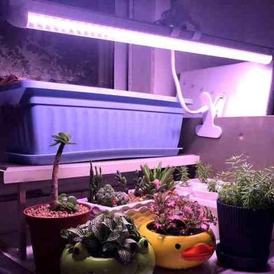 LED全光谱植物灯生长灯家用室内花卉光合作用防徒上色多肉补光灯