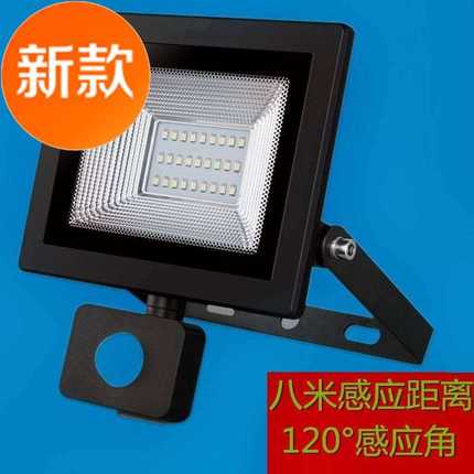 1w9潮流的led投光灯12v220v人体红外线感应 室外防水补光灯10w30w