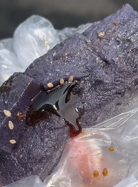 【台州特产乌饭麻糍送糖汁】浙江台州美食手工糯叽叽临海糯米糍粑