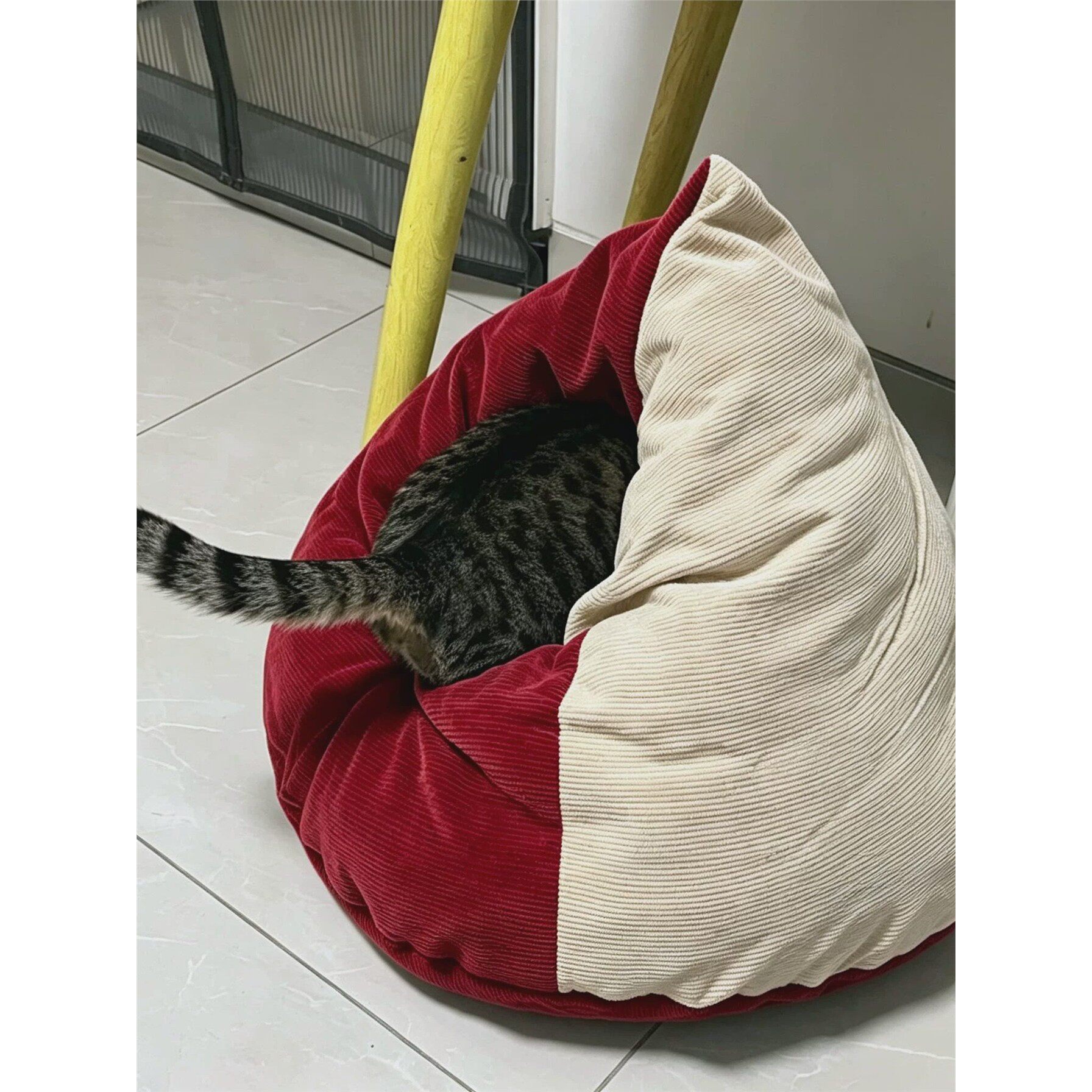鸡屁股猫窝四季通用懒猫