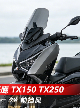 适用于25款天鹰TX150前挡风玻璃26款天鹰TX150F 250F改装风挡配件