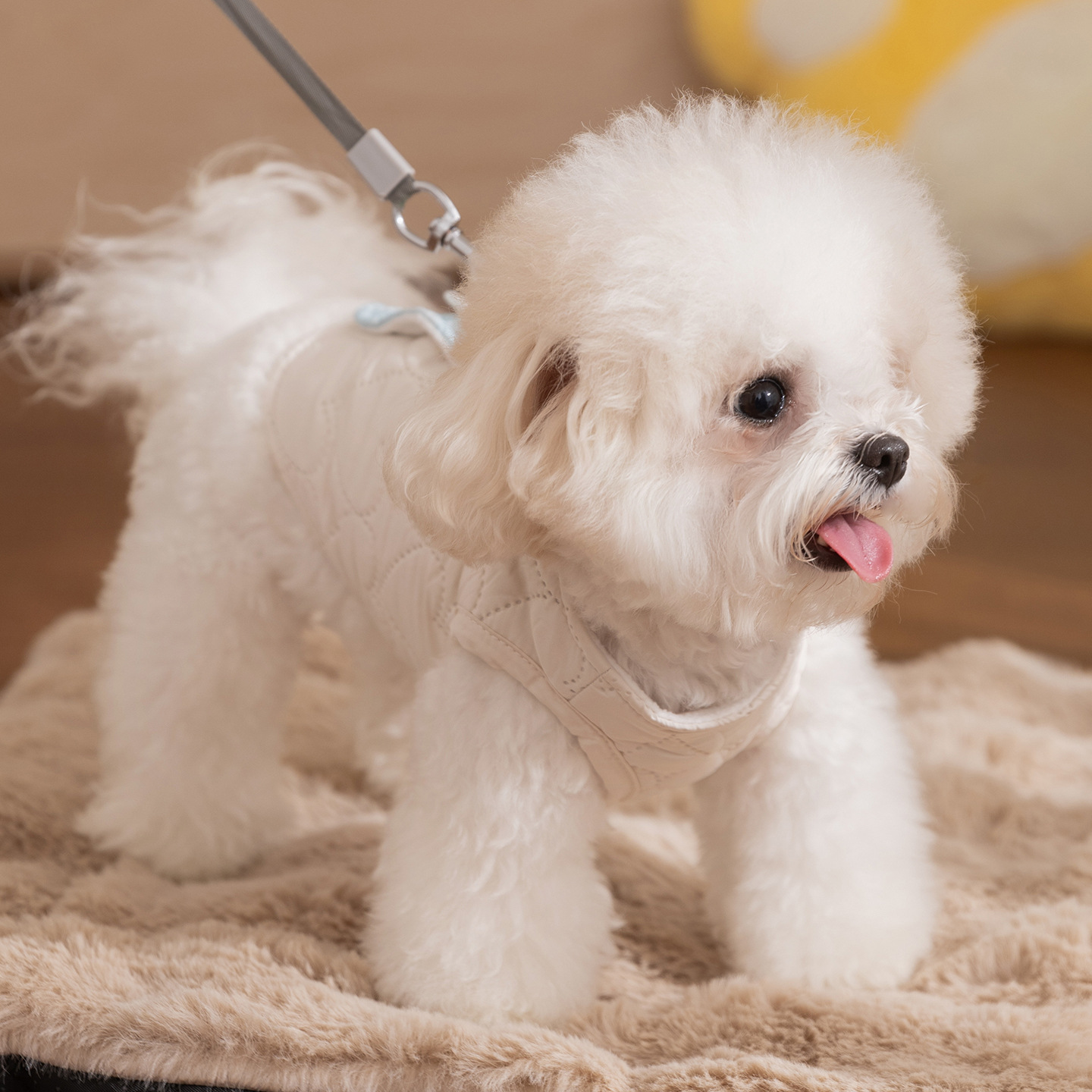 韩系秋冬季简约拼接格子口袋牵引马甲小型犬比熊泰迪宠物狗狗衣服