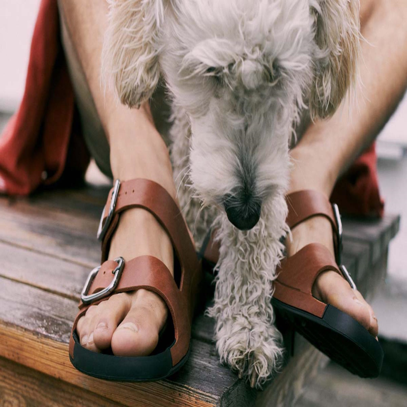 ecco/爱步男拖鞋一字拖凉鞋防滑轻便夏季男士cozmo凉鞋500934t3