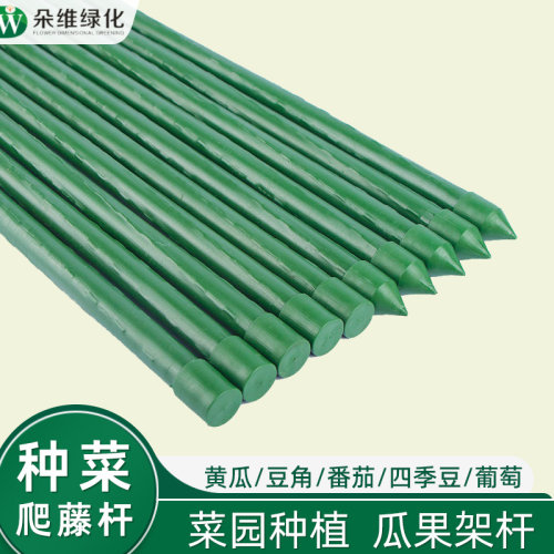 黄瓜爬藤支架植物支撑架