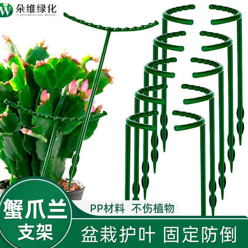 朵维植物月季撑花支架固定防倒