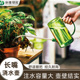 自动浇水器家用滴速慢渗透浇花滴水器懒人浇水神器植物养花洒水壶