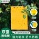强力粘虫板小飞虫克星黄板双面大棚果园专用粘虫板防水灭菜棚粘板