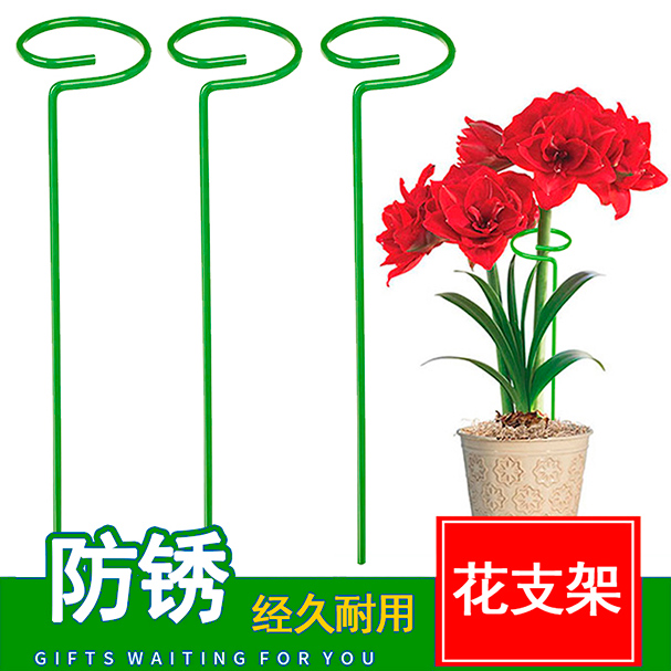 植物防倒伏花架子朵维绿化