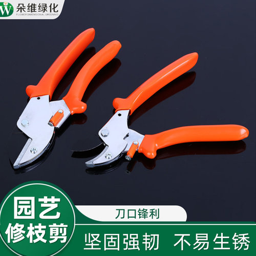 修枝剪园艺修枝剪庭院朵维绿化