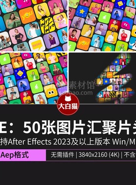 Ae模板 20秒50张图片轮播展示4K照片墙汇聚成LOGO片头动画ae模版