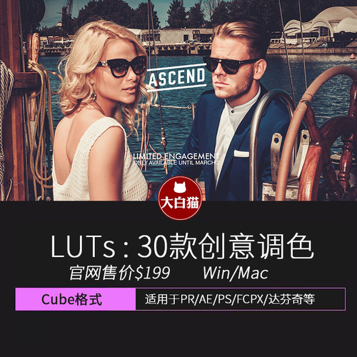 PR调色预设 30种电影级别PRAE视频颜色预设ASCEND LUTs