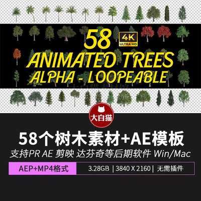 4K视频素材 58组可循环真实树木动画红叶椰树松树叠加素材+AE模板