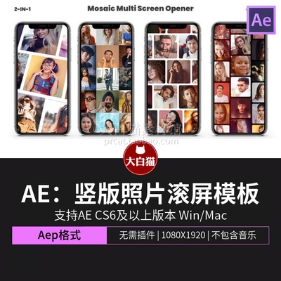 AE模板 手机竖版分屏照片滚动滑屏人物介绍图文展示AfterEffects