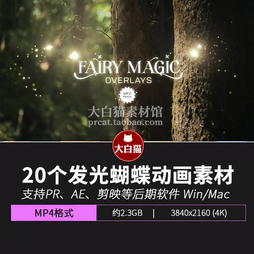 蝴蝶视频素材 20个魔法精灵翅膀扇Pr素材AE源文件MOV动态图形动画