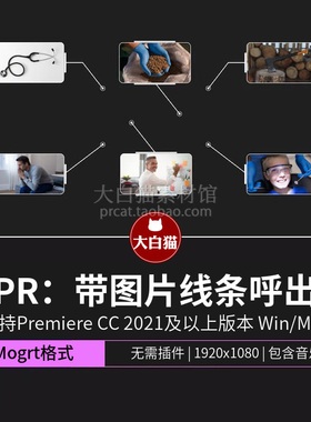 画面信息指示说明带图片画中画线条呼出式标题动画pr模板mogrt