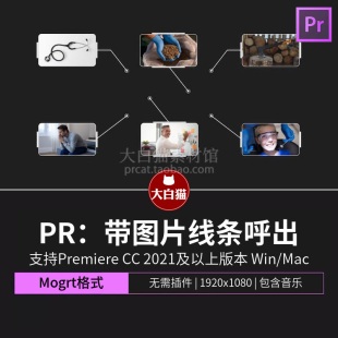 标题动画pr模板mogrt 画面信息指示说明带图片画中画线条呼出式
