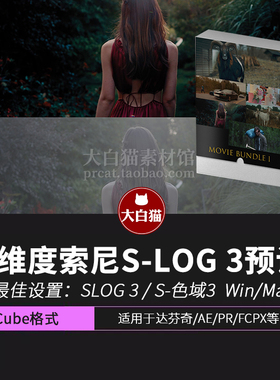Benedikt Meyer 多维度索尼S-LOG 3预设包 Movie Bundle 1
