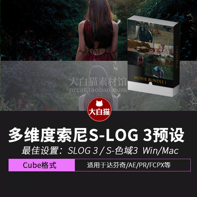 Benedikt Meyer 多维度索尼S-LOG 3预设包 Movie Bundle 1
